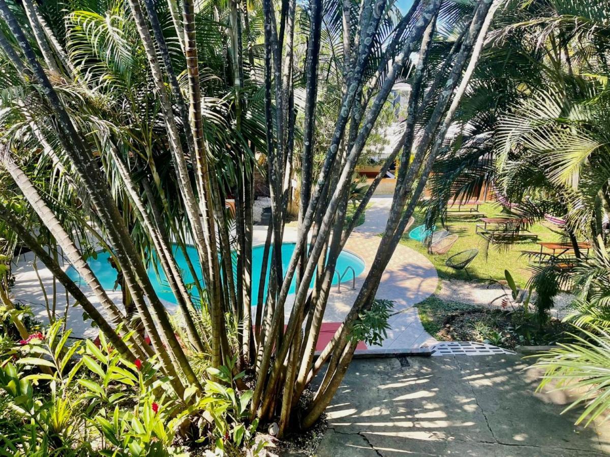 산호세 Costa Rica Backpackers 호스텔 외부 사진