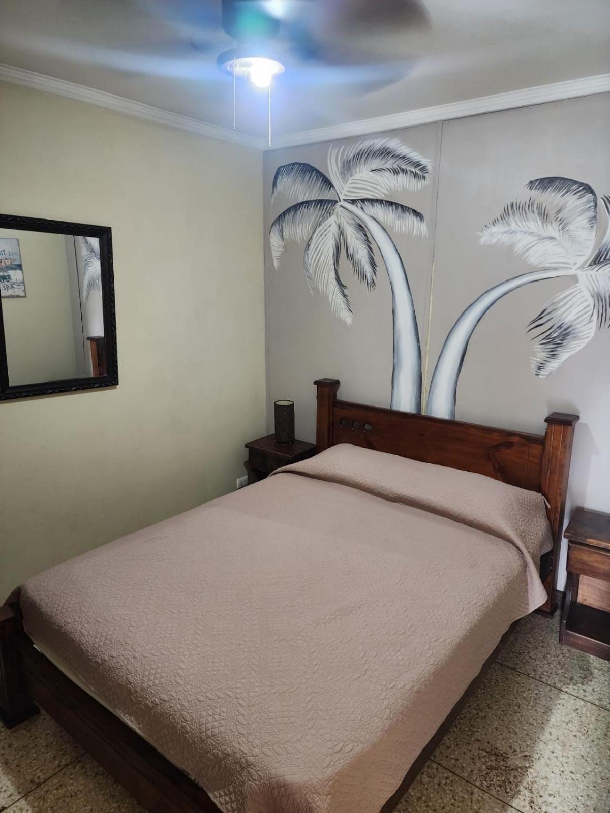 산호세 Costa Rica Backpackers 호스텔 외부 사진
