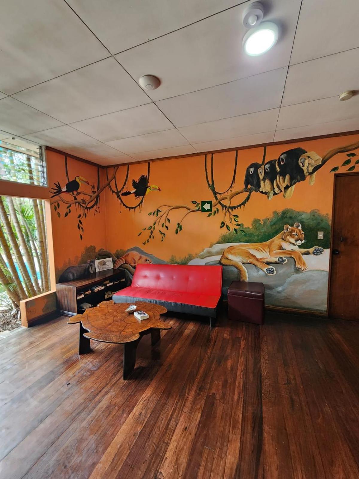 산호세 Costa Rica Backpackers 호스텔 외부 사진