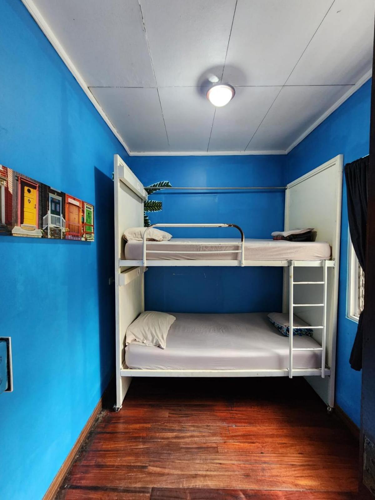 산호세 Costa Rica Backpackers 호스텔 객실 사진