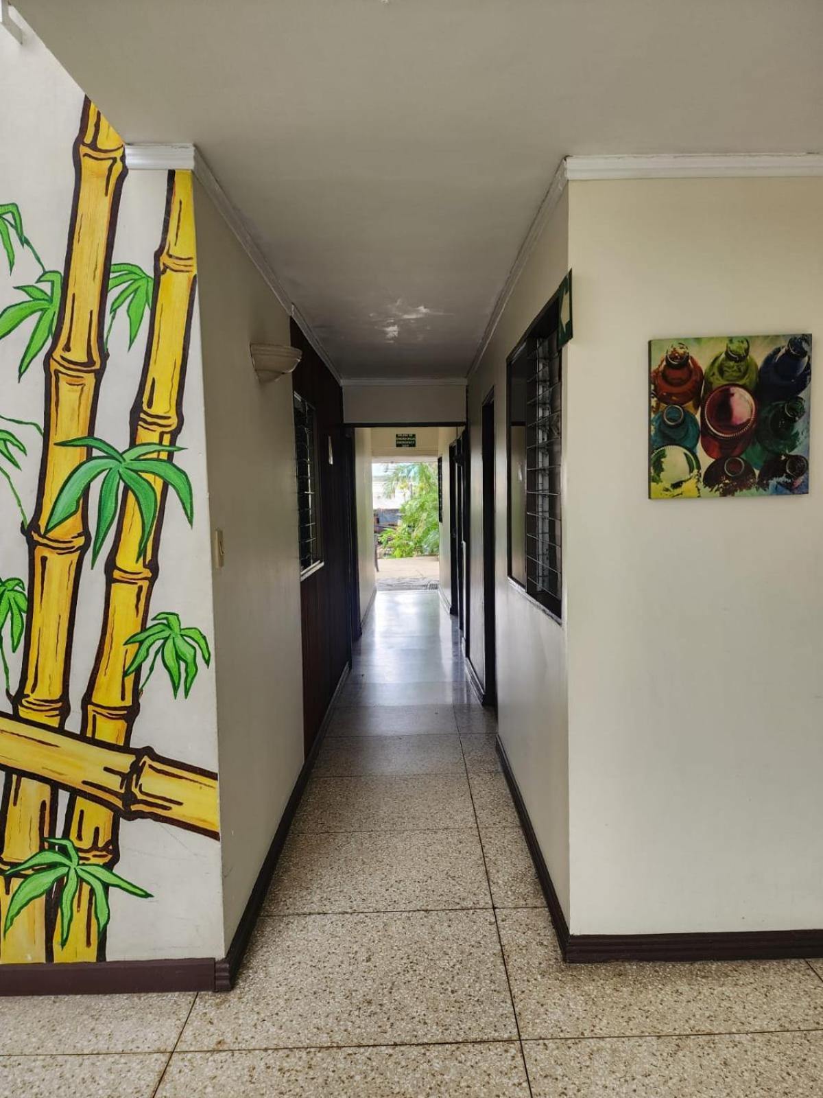 산호세 Costa Rica Backpackers 호스텔 외부 사진
