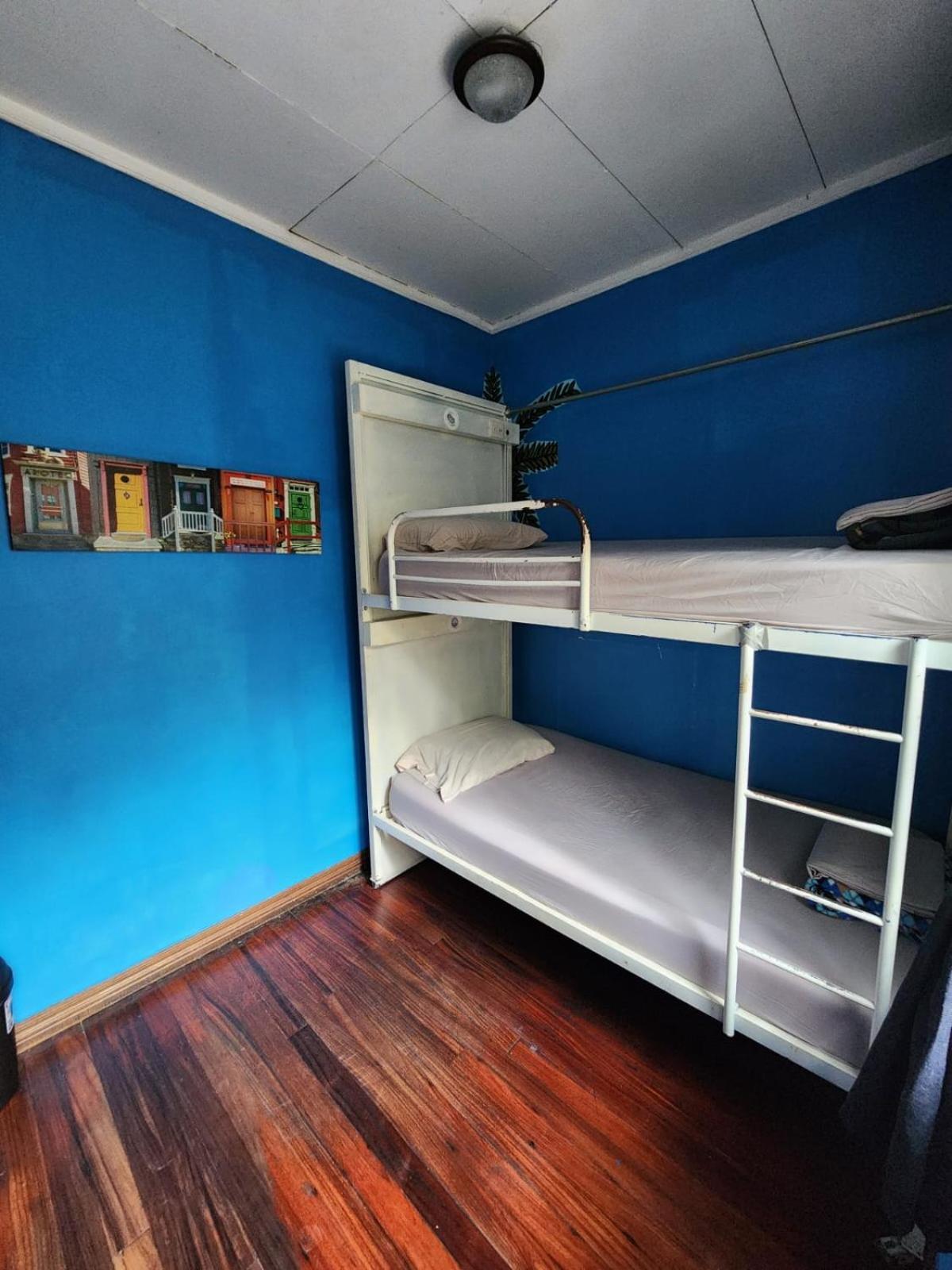 산호세 Costa Rica Backpackers 호스텔 외부 사진