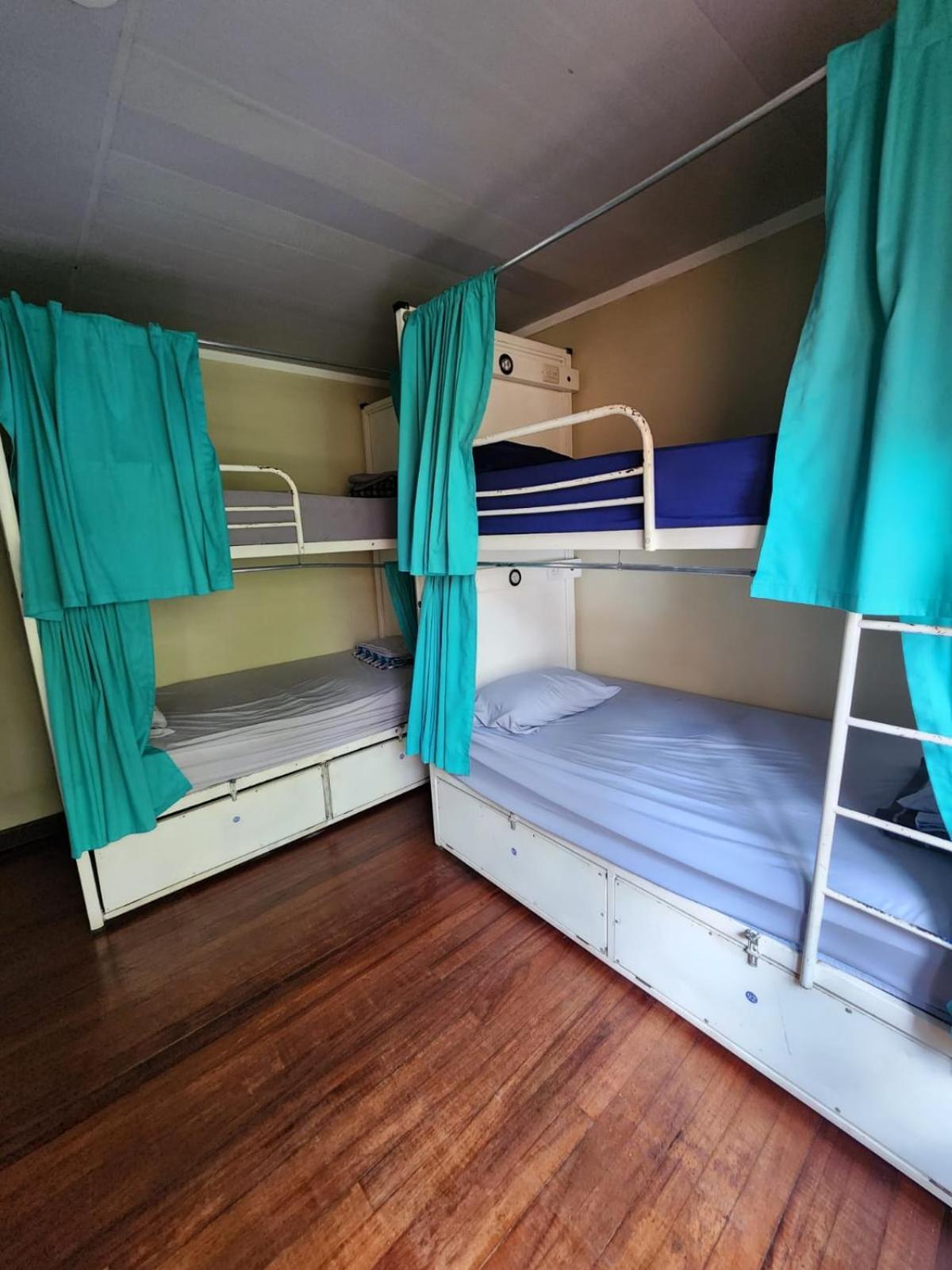 산호세 Costa Rica Backpackers 호스텔 객실 사진