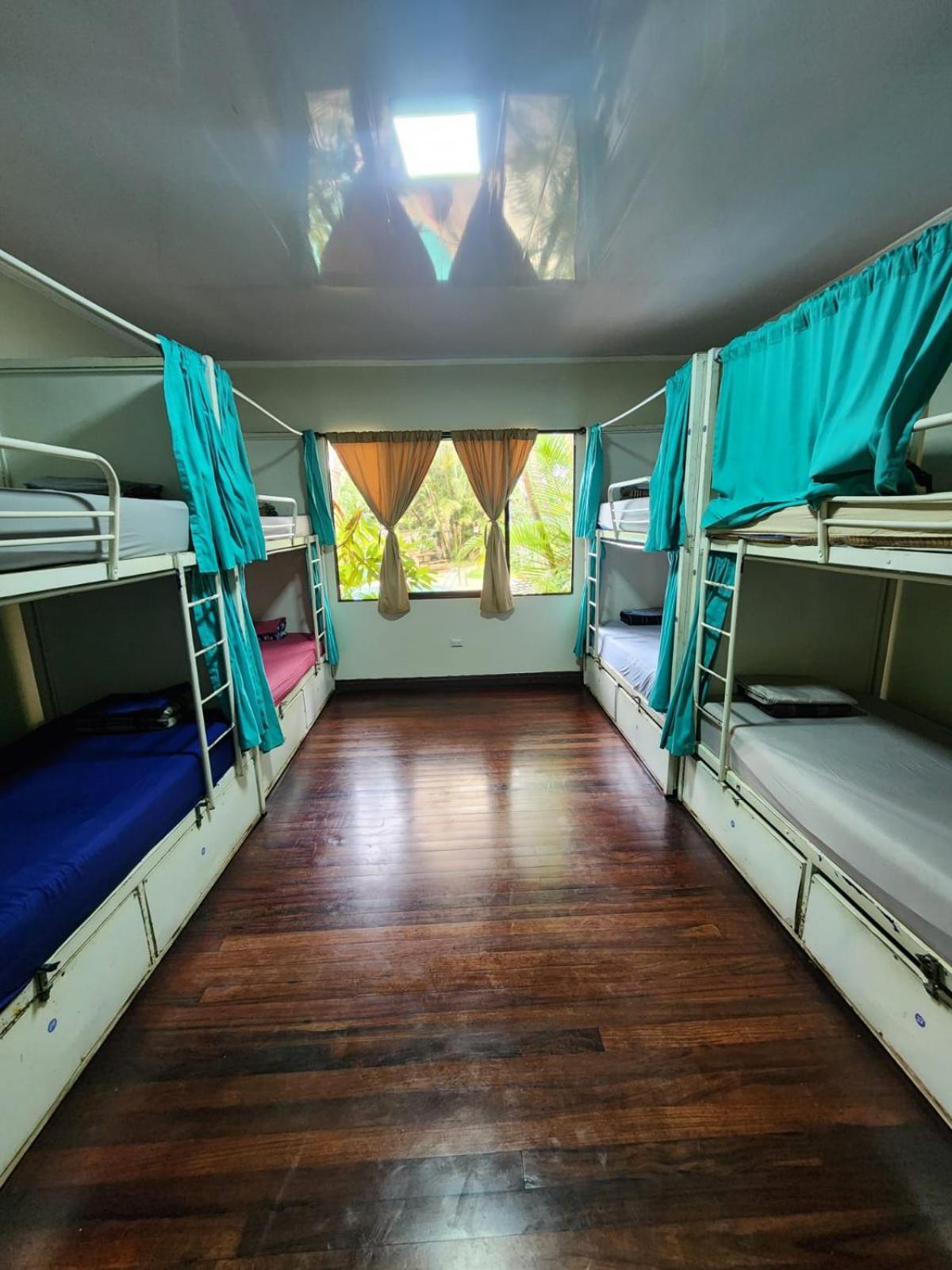 산호세 Costa Rica Backpackers 호스텔 외부 사진