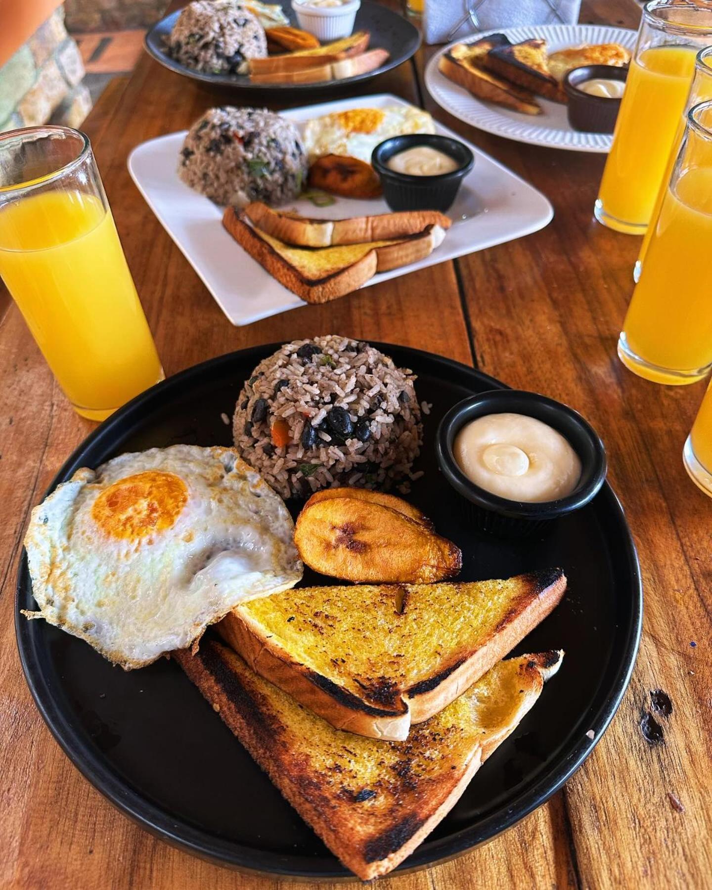 산호세 Costa Rica Backpackers 호스텔 외부 사진