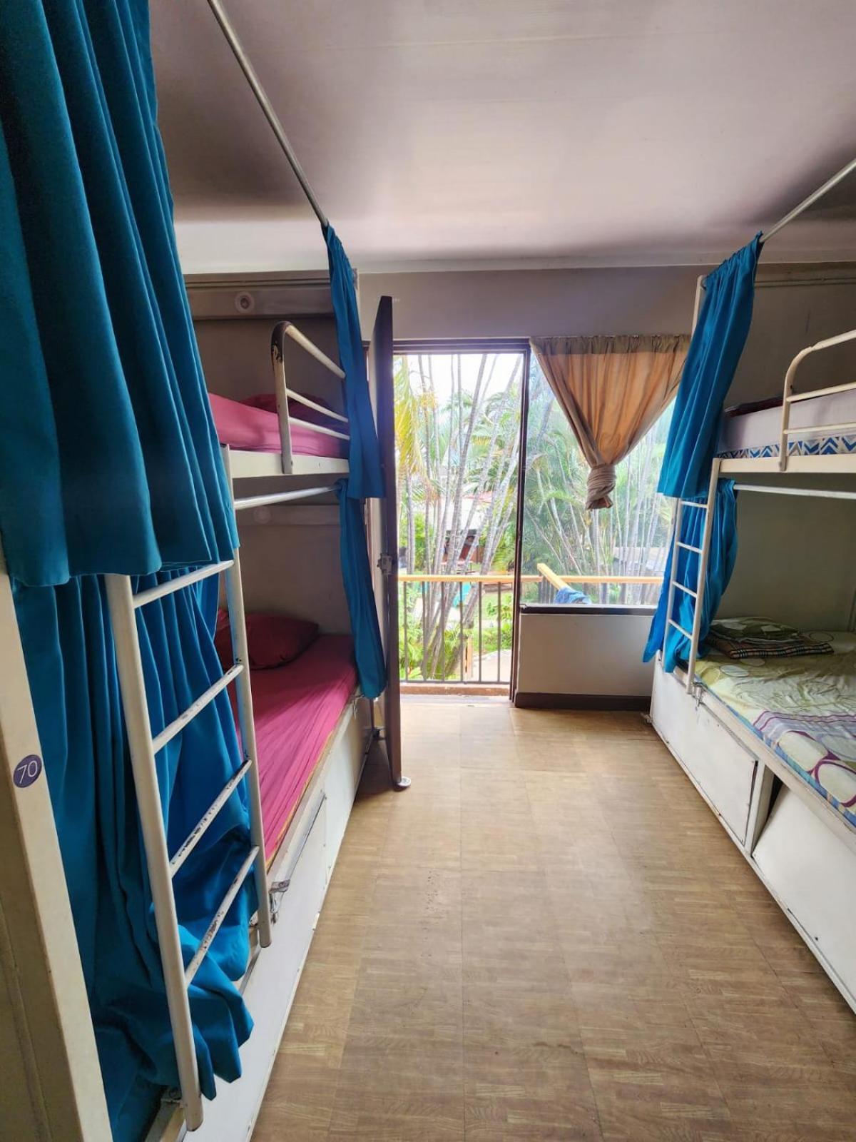 산호세 Costa Rica Backpackers 호스텔 객실 사진