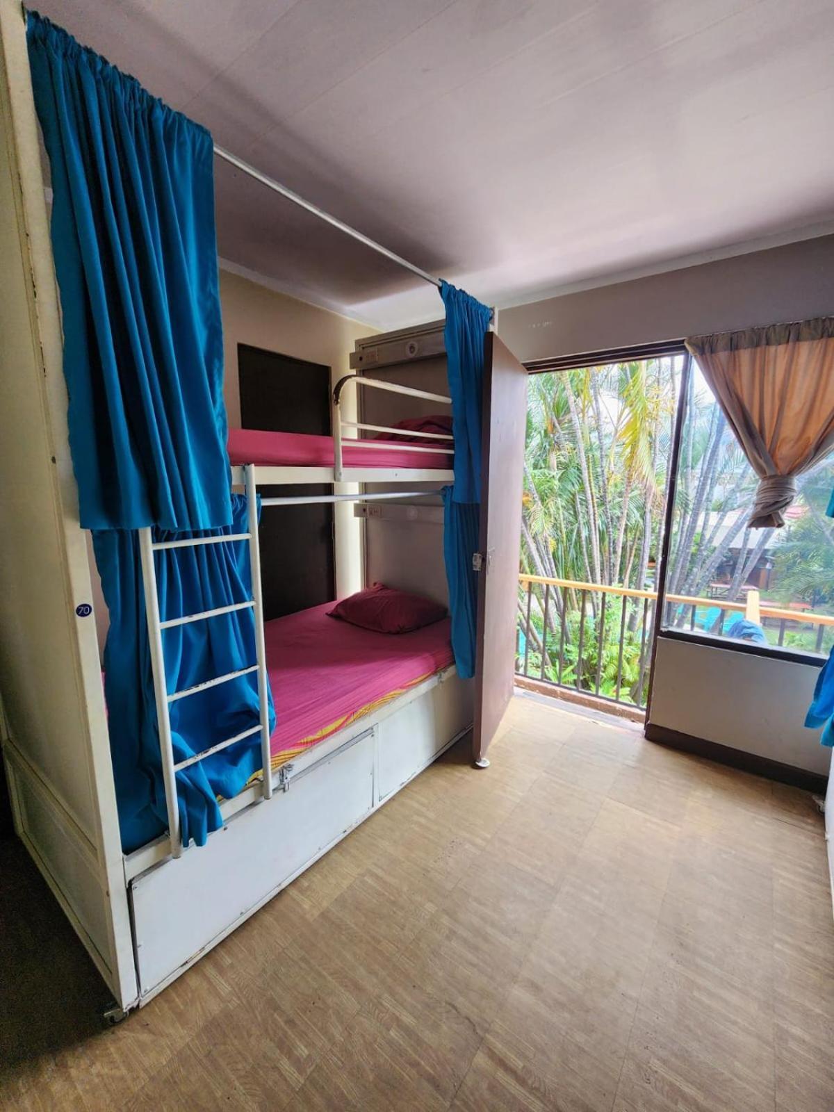 산호세 Costa Rica Backpackers 호스텔 객실 사진