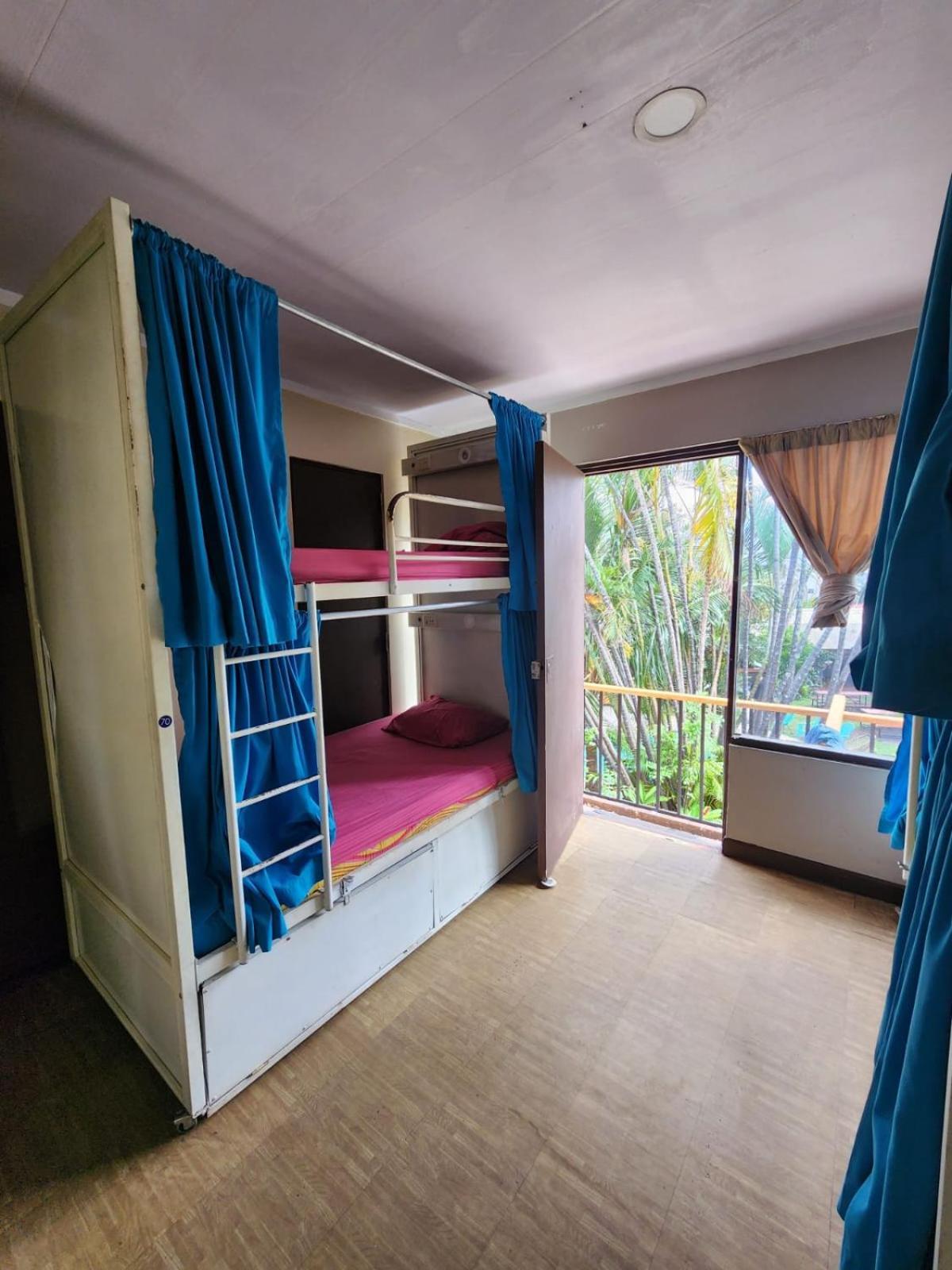 산호세 Costa Rica Backpackers 호스텔 객실 사진