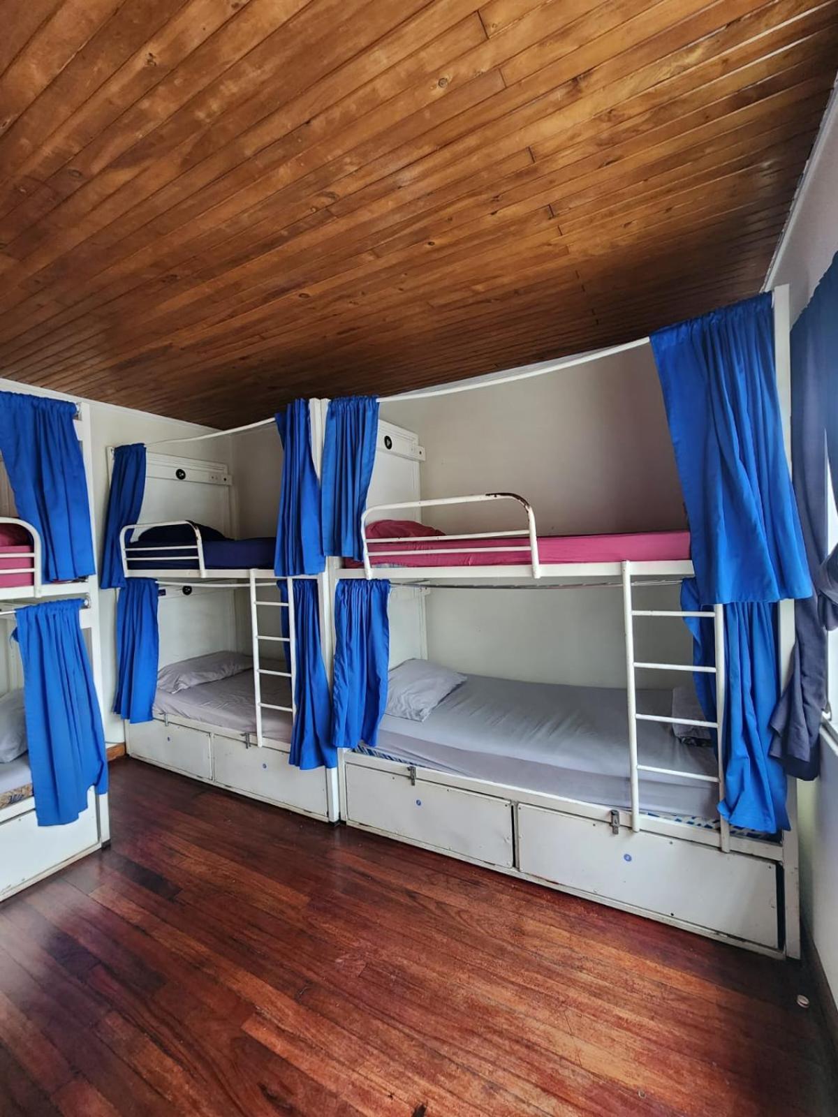 산호세 Costa Rica Backpackers 호스텔 객실 사진