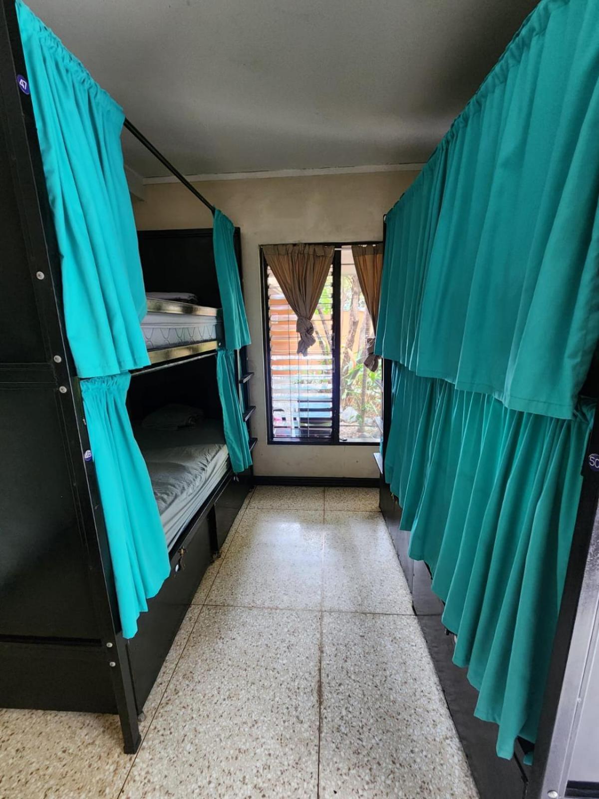 산호세 Costa Rica Backpackers 호스텔 객실 사진