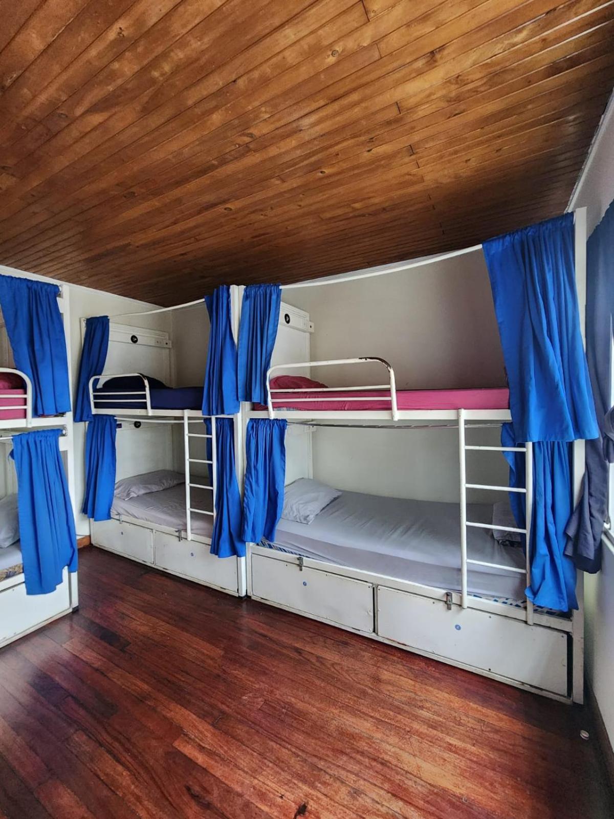 산호세 Costa Rica Backpackers 호스텔 객실 사진