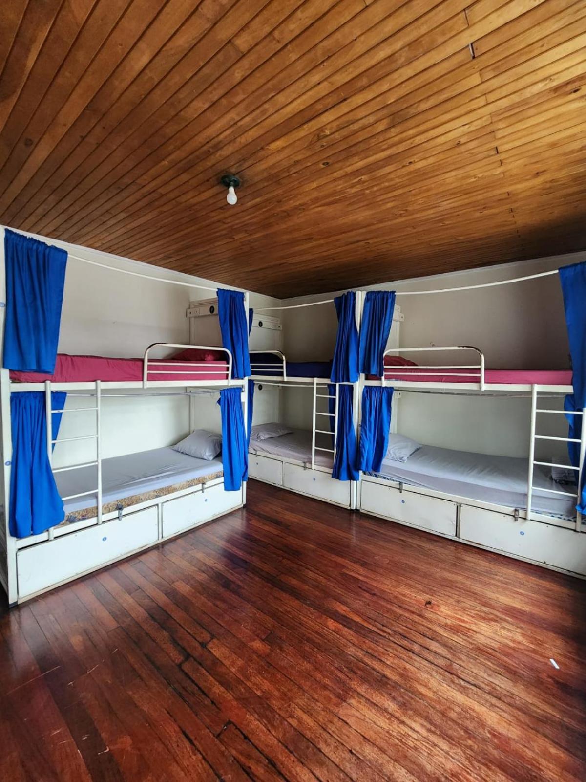산호세 Costa Rica Backpackers 호스텔 객실 사진