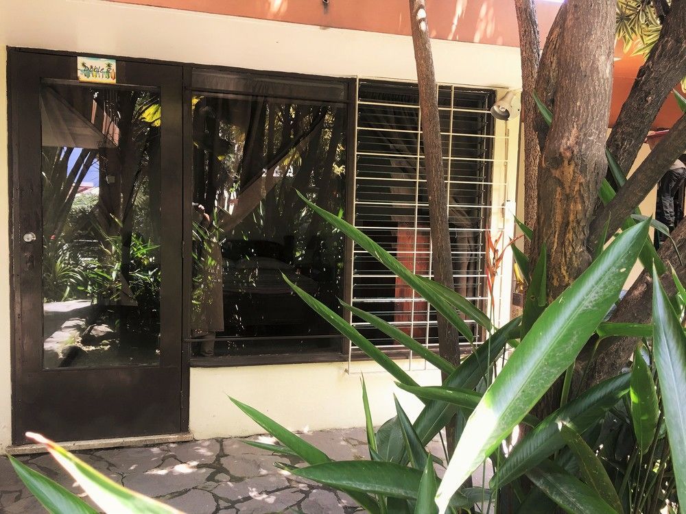 산호세 Costa Rica Backpackers 호스텔 외부 사진